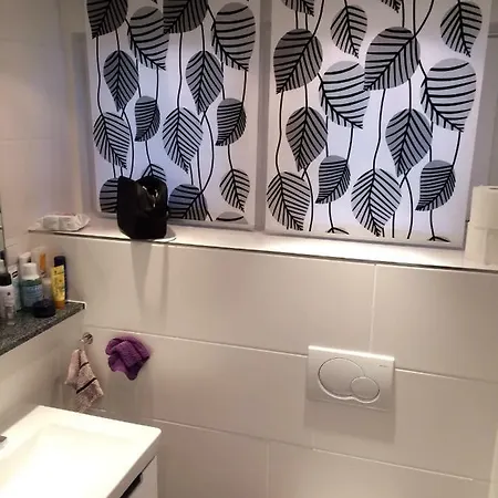 Masionette Apartement Terrassenpark Sasbachwalden - アパート