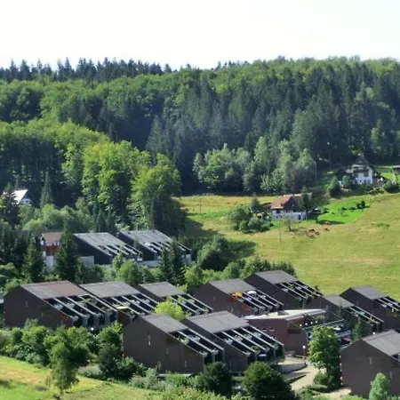 Masionette Apartement Terrassenpark Sasbachwalden - アパート Brandmatt